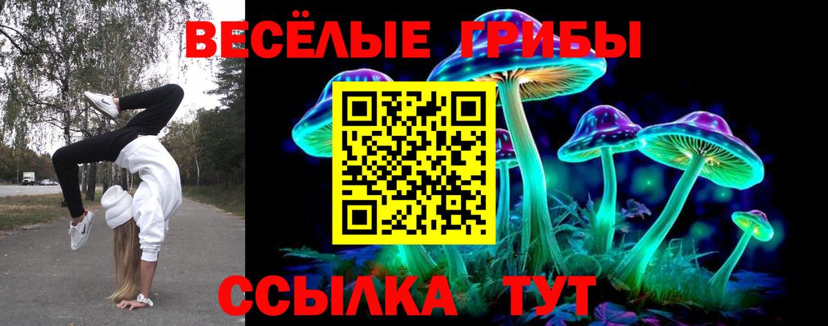 Псилоцибиновые грибы Psilocybine cubensis Всеволожск